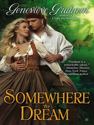 cover image of Somewhere to Dream